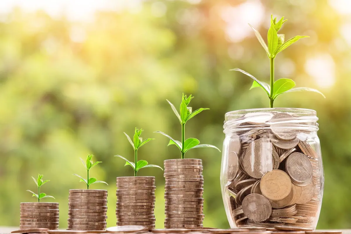 Monede în trepte, cu plante verzi care cresc din fiecare grămadă